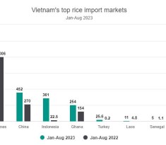 Soaring global demand drives rice exports higher
